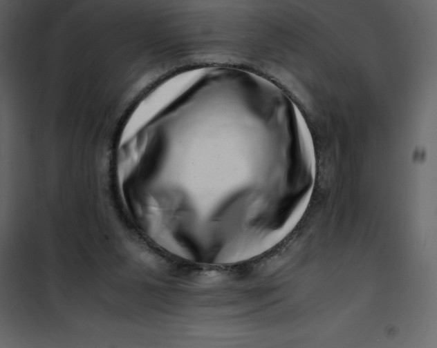 X0000101100111200807171921