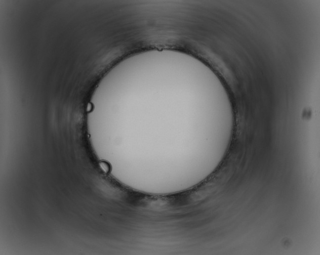 X0000101100113200807171921