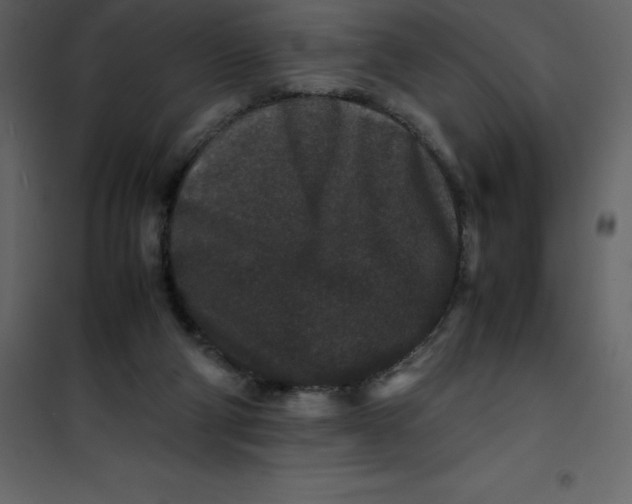 X0000101100114200807171921