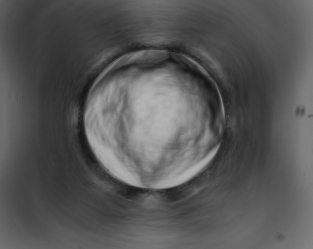 X0000101100115200807171921