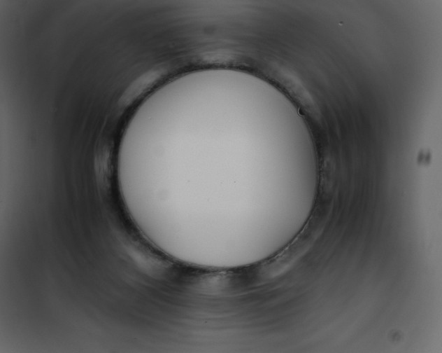 X0000101100116200807171921