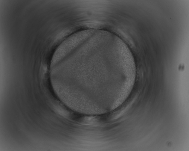 X0000101100117200807171921