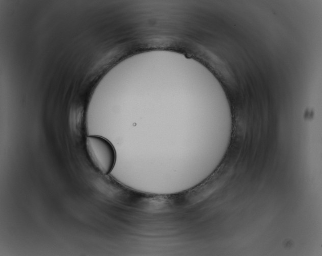 X0000101100118200807171921
