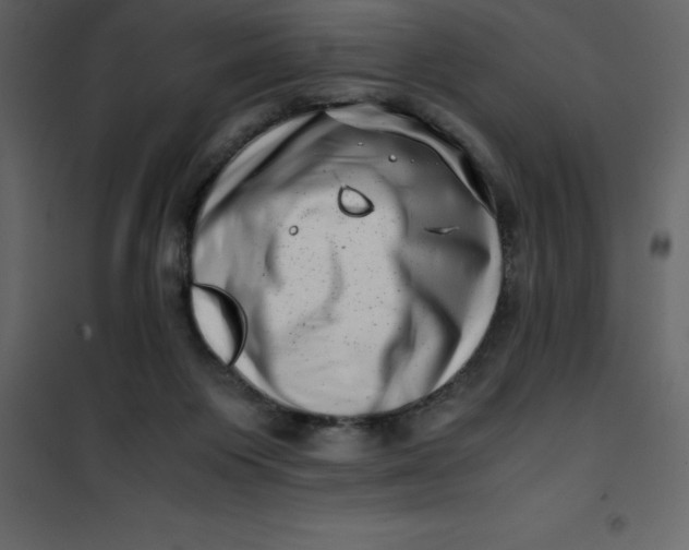 X0000101100119200807171921