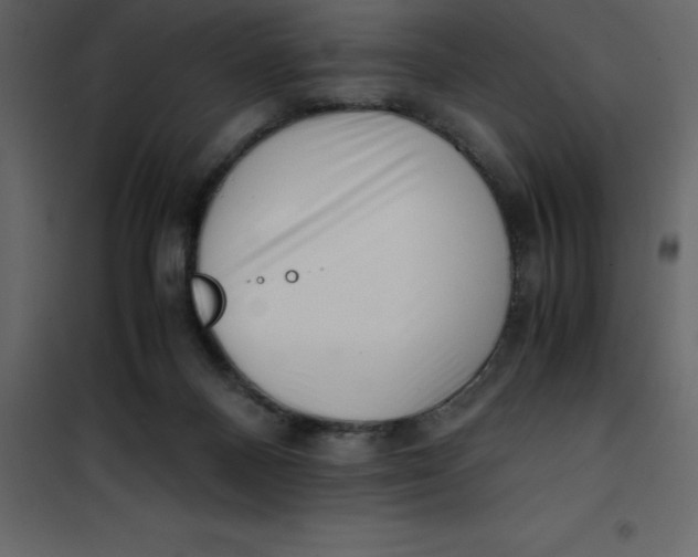 X0000101100120200807171921