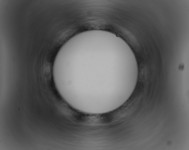 X0000101100121200807171921