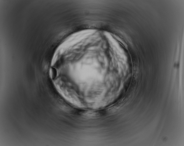 X0000101100123200807171921