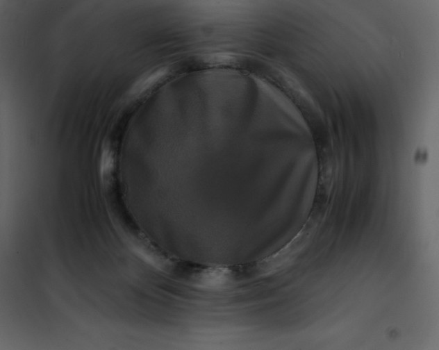 X0000101100124200807171921