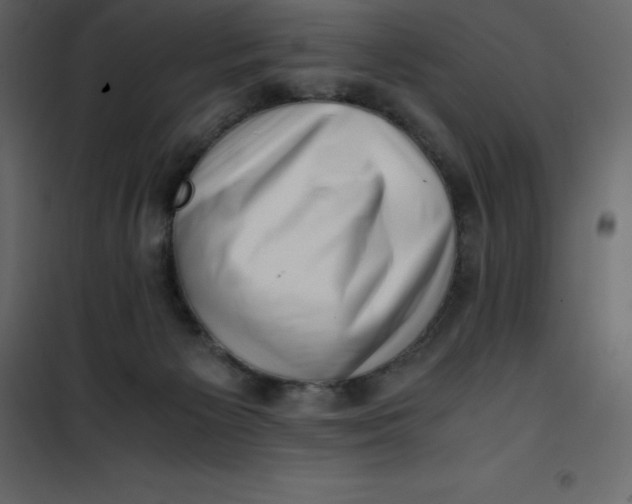 X0000101100125200807171921