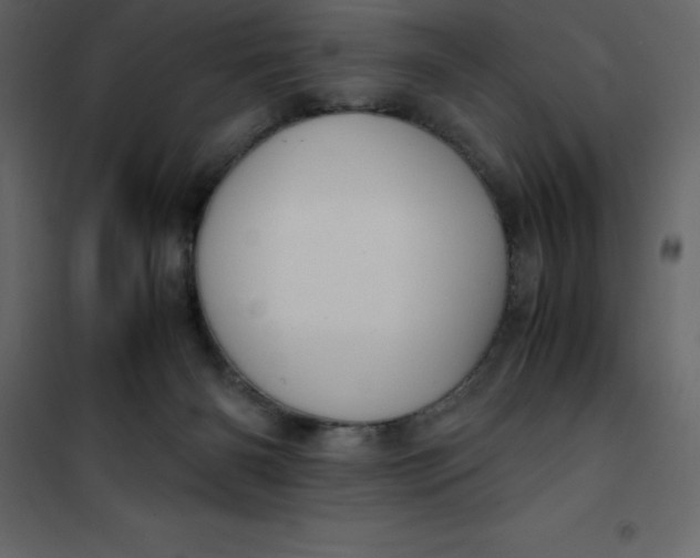 X0000101100126200807171921