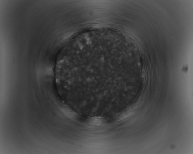 X0000101100127200807171921