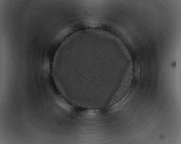 X0000101100128200807171921