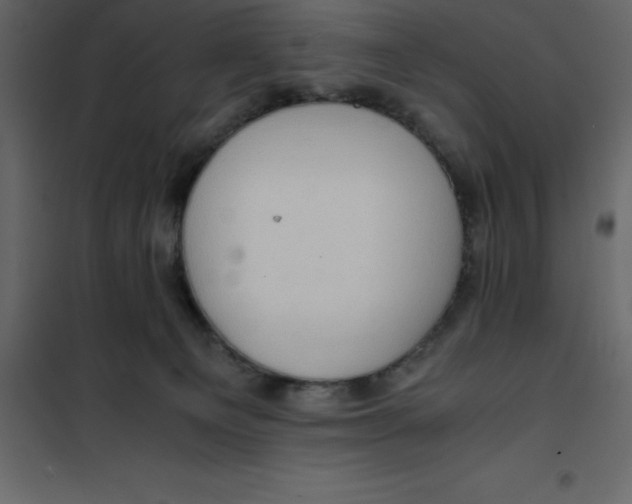 X0000101100129200807171921