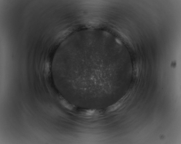 X0000101100130200807171921