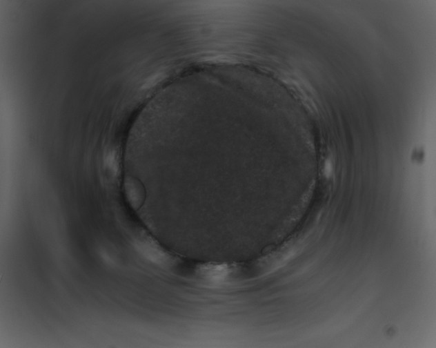 X0000101100131200807171921