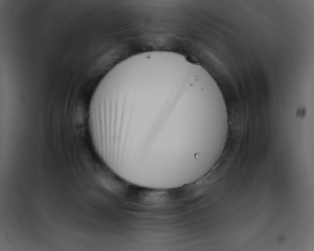 X0000101100132200807171921