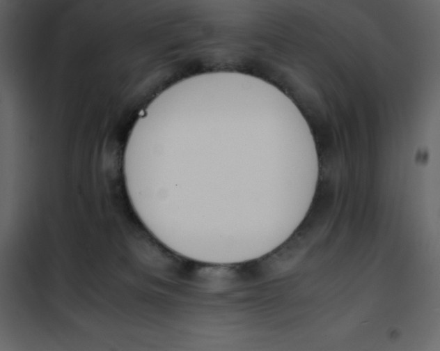 X0000101100133200807171921