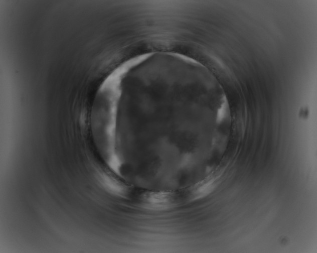 X0000101100134200807171921