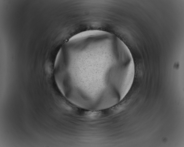 X0000101100135200807171921