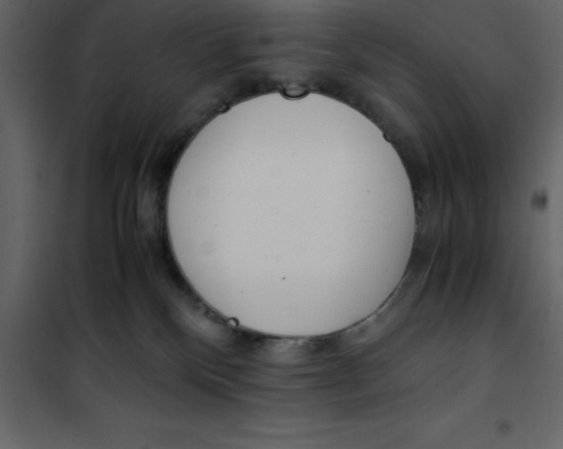 X0000101100136200807171921