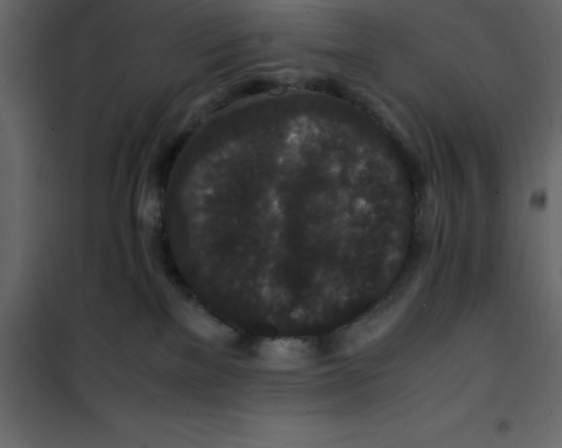 X0000101100137200807171921