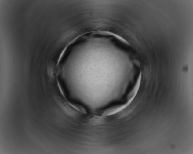 X0000101100138200807171921