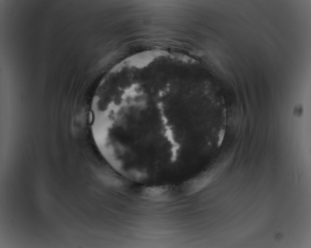 X0000101100139200807171921