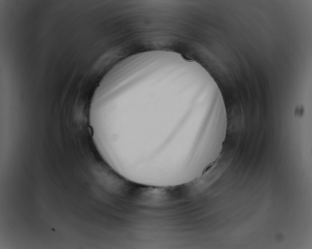 X0000101100140200807171921