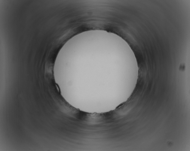 X0000101100141200807171921