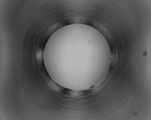 X0000101100142200807171921