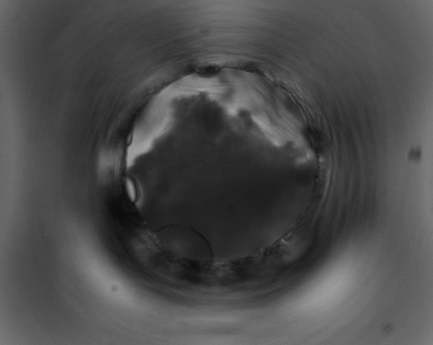 X0000101100143200807171921