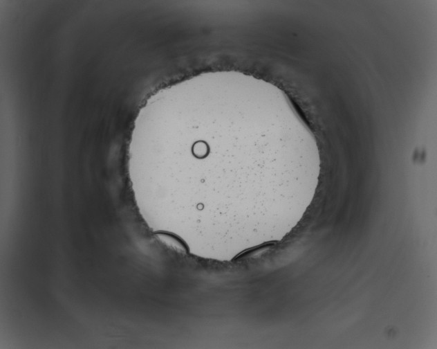 X0000101100144200807171921