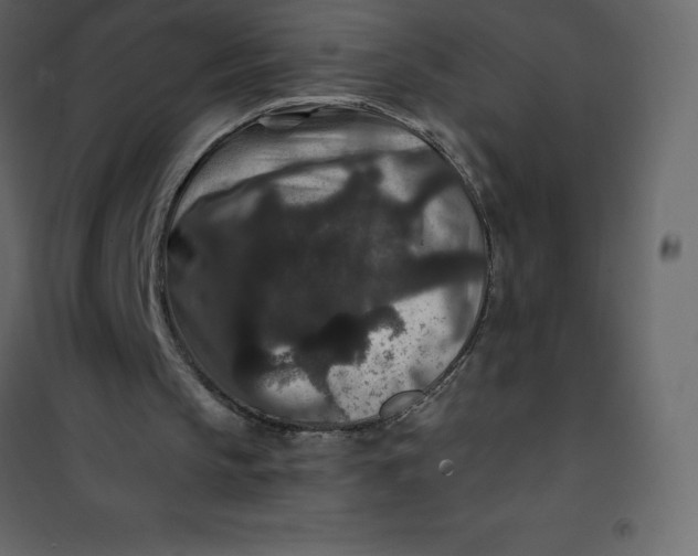 X0000101100145200807171920