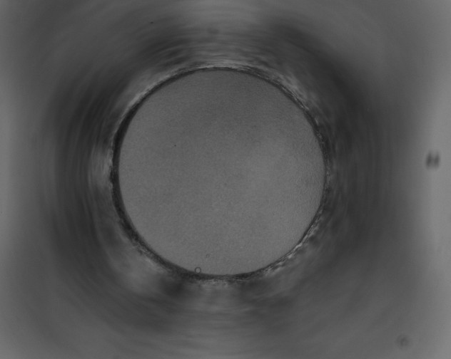 X0000101100146200807171920