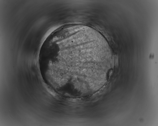 X0000101100147200807171920