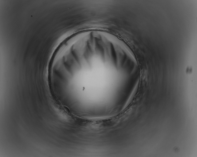 X0000101100148200807171920