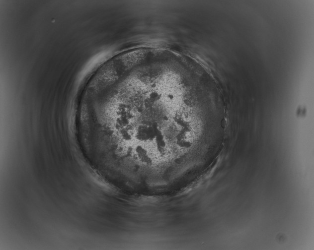 X0000101100149200807171920