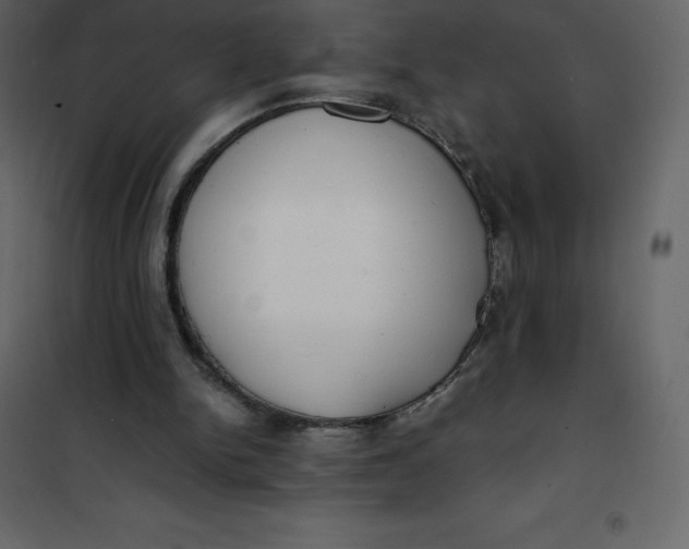 X0000101100150200807171920