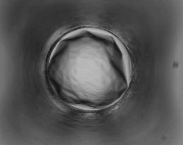 X0000101100151200807171920