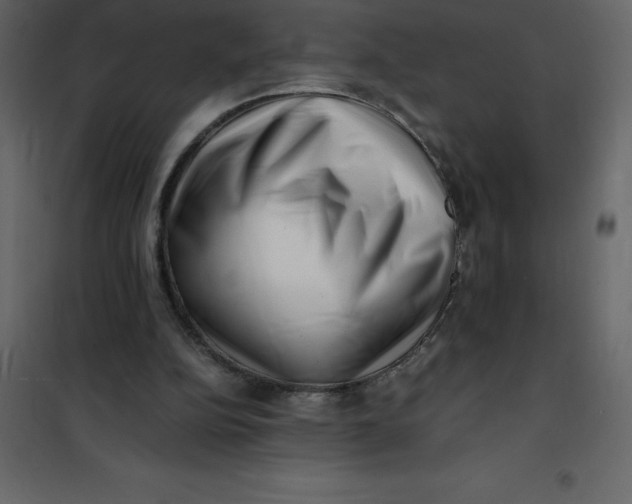 X0000101100152200807171920