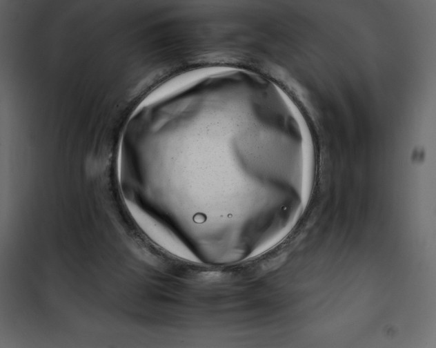 X0000101100153200807171920