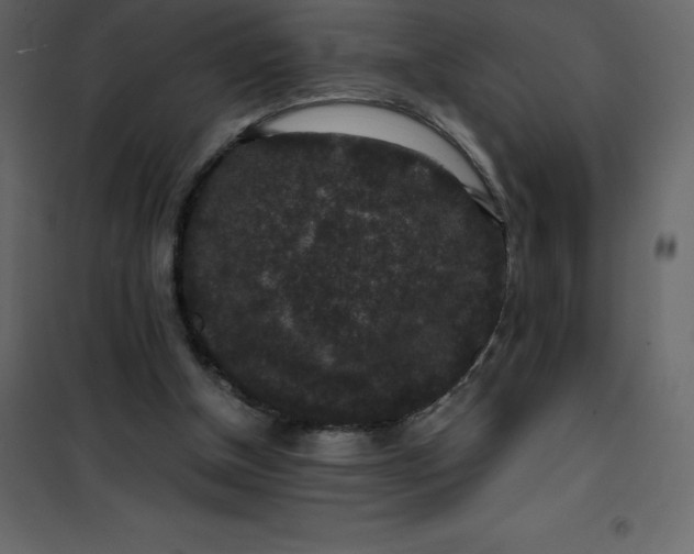 X0000101100154200807171920