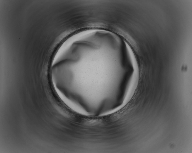 X0000101100155200807171920