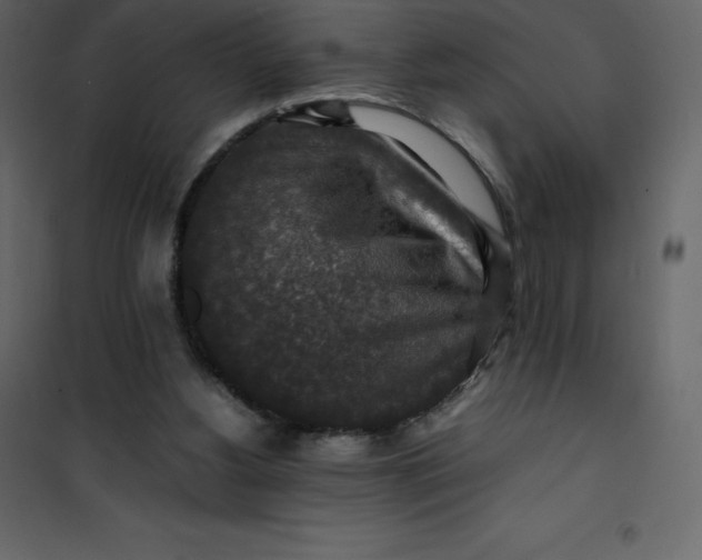 X0000101100156200807171920