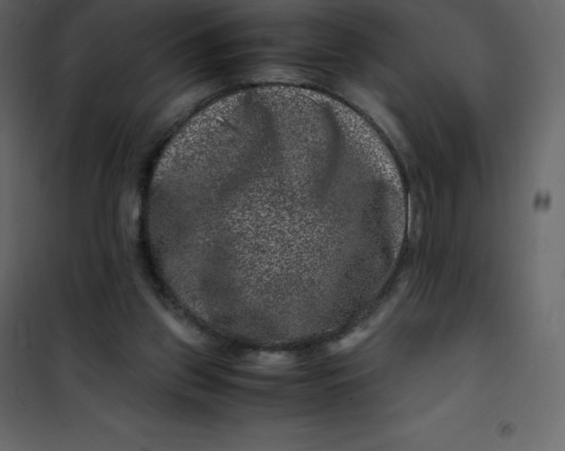 X0000101100157200807171920