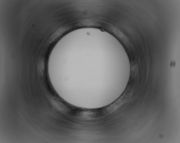 X0000101100158200807171920