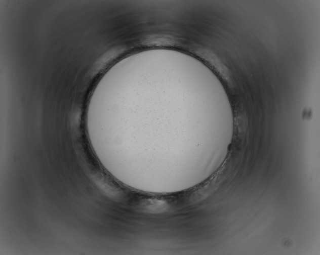 X0000101100159200807171920