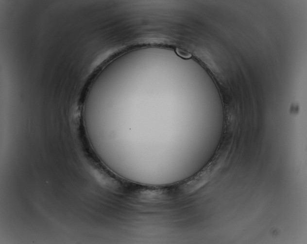 X0000101100160200807171920