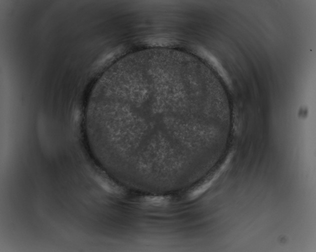 X0000101100161200807171920