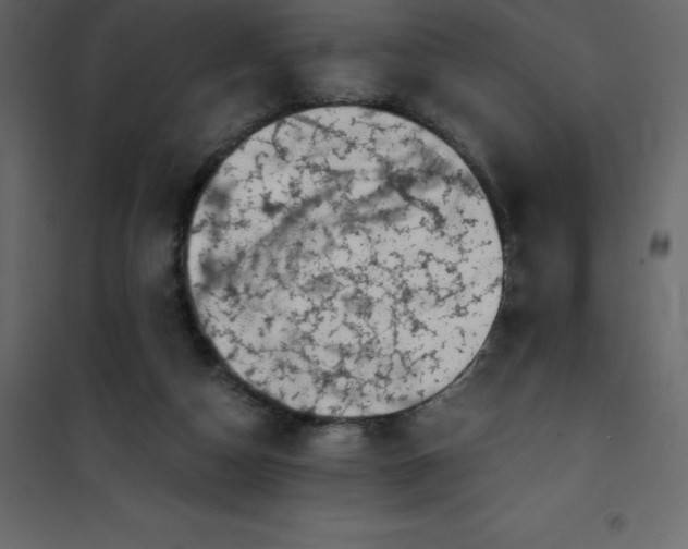 X0000101100162200807171920